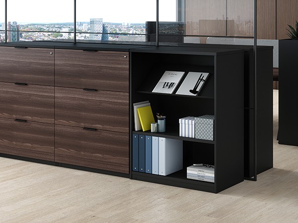 File Cabinet and Bookcase in Walnut